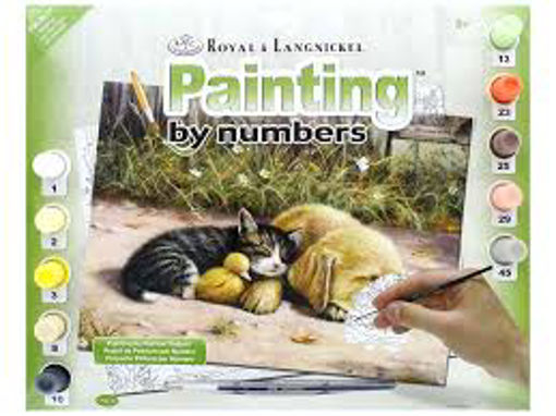 Picture of PAINTING BY NUMBER - SLEEPY DAY
